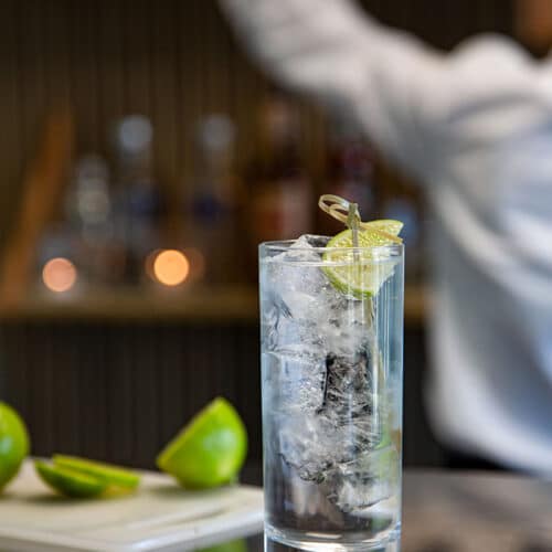 Gin & Tonic drink opskrift